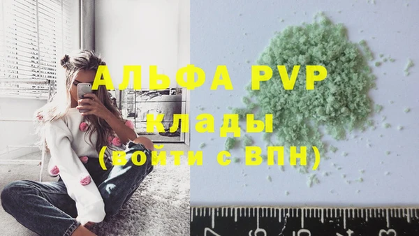 амф Аркадак