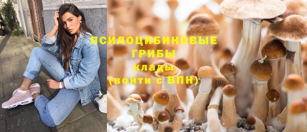 герыч Арсеньев